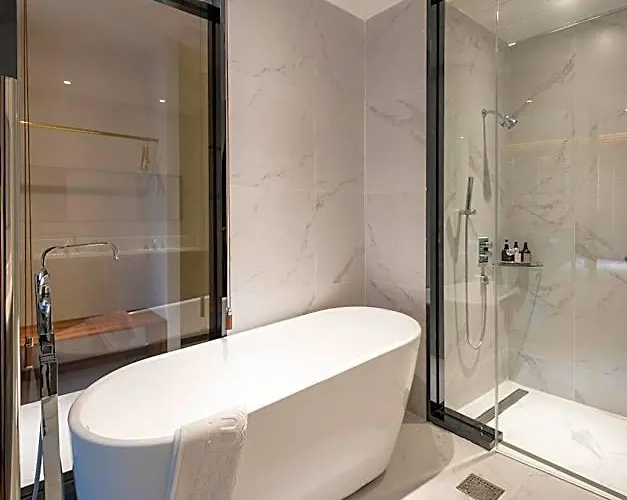 Brown-dot Shinho Hotel