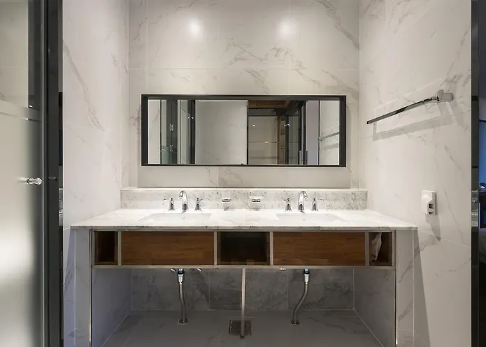 Hotel Brown-dot Shinho 3*