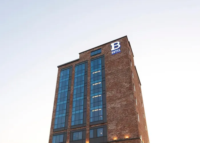Hotel Brown-dot Shinho